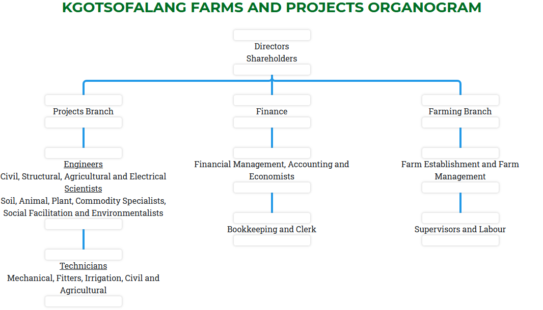 Organization Chart